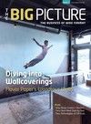 The Big Picture - June/July 2014